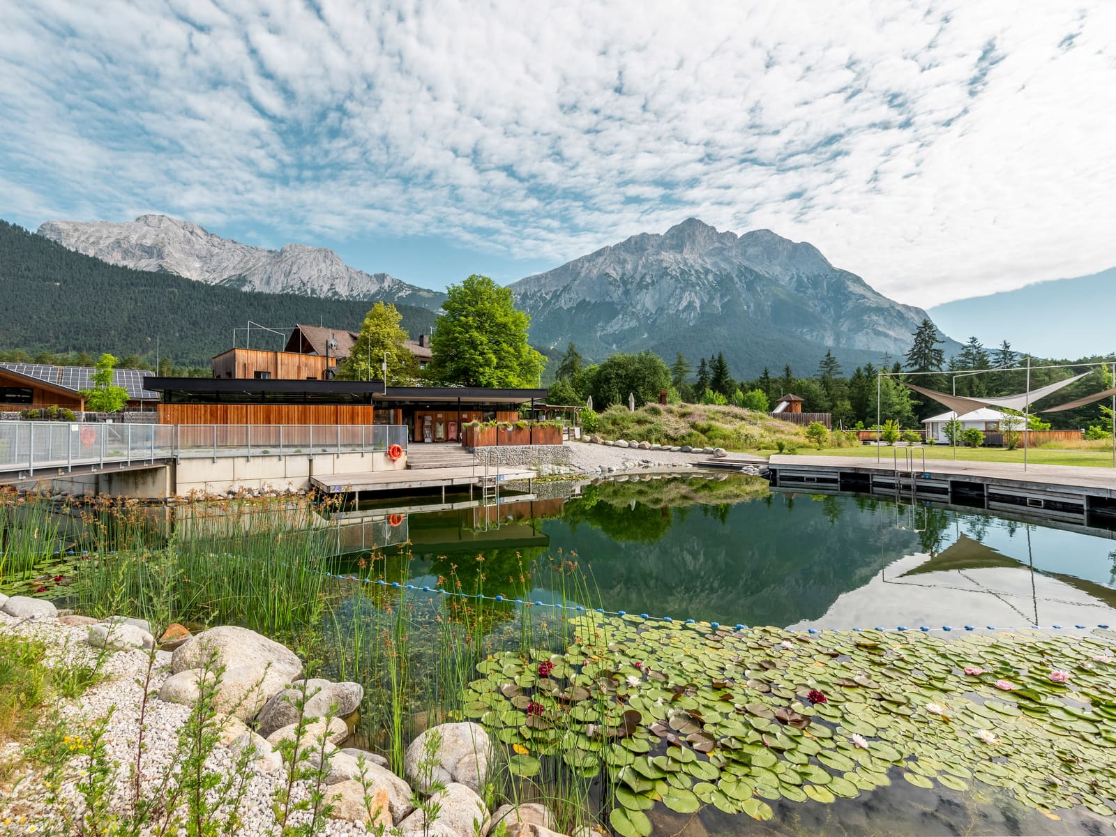 Naturbadeteich mit Seerosen und Bergkulisse