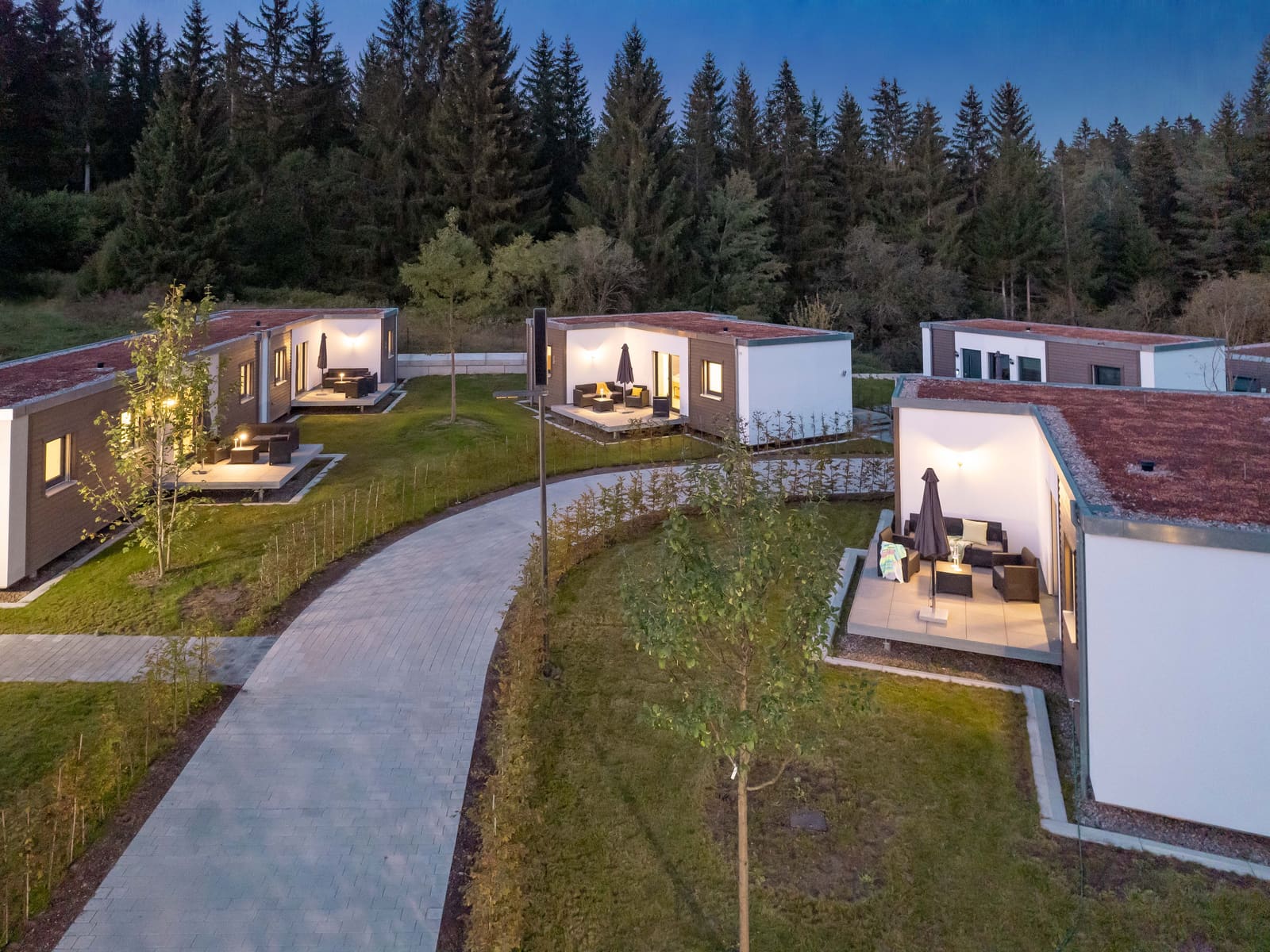 The houses in evening light, spruce forest behind